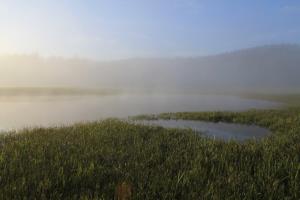 Kraljestvo_megle_Danilo Del Piero